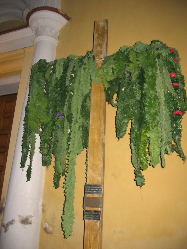 oktawa 066